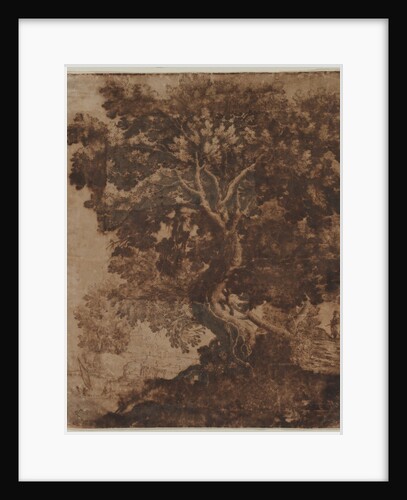 Tree in a Landscape, mid 17th century by Ercole Bazicaluva