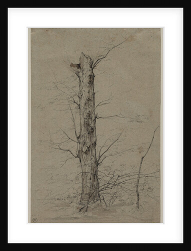 Tree, c. 1835-45 by Ludwig Ferdinand Schnorr von Carolsfeld