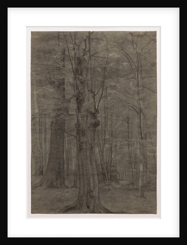 Trees by Leopold Bode
