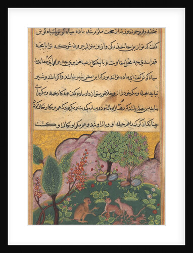 Tuti-Nama: Tale XXIX, c. 1560 by Unknown