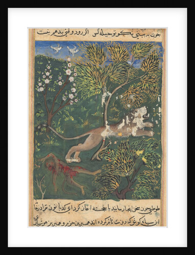 Tuti-Nama: Tale XXIX, c. 1560 by Unknown