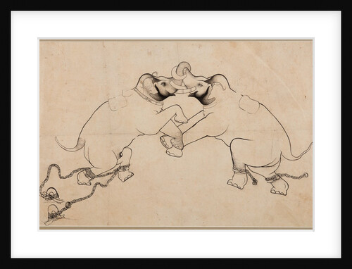 Two Elephants in Combat, early 1700s by Unknown