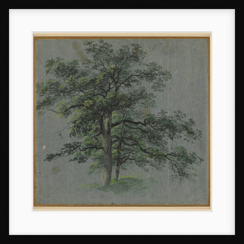 Two Trees, first half 1800s by Johann Jacob Dorner