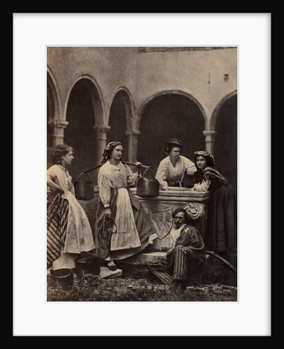 Untitled, late 19th Century by Unidentified Photographer