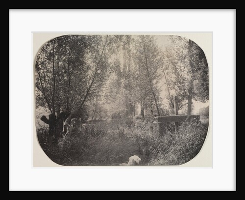 Untitled, c. 1910 by Unidentified Photographer