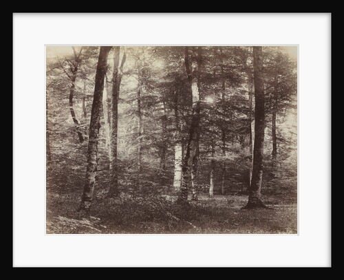 Untitled, c. 1874 by Constant Alexandre Famin