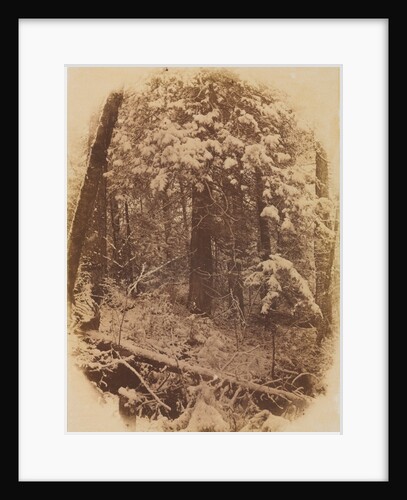 Untitled, 1859 by William James Stillman; J. W. Black