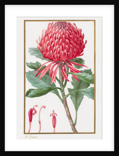 Untitled, 1828-1835 by Pancrace Bessa