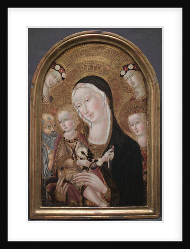 Virgin and Child with Saint Jerome and Saint Catherine of Alexandria, c. 1450 by Carolino da Viterbo