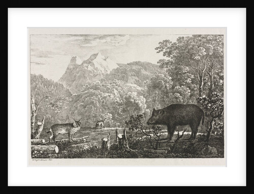 Wild Boar, Wildcat and Lynx, 1807 by Maximilian Josef Wagenbauer
