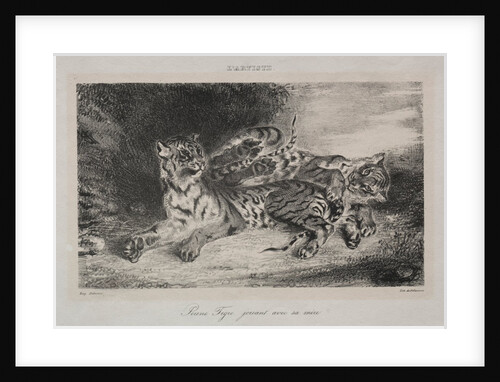 Young Tiger Playing with its Mother, 1831 by Eugène Delacroix