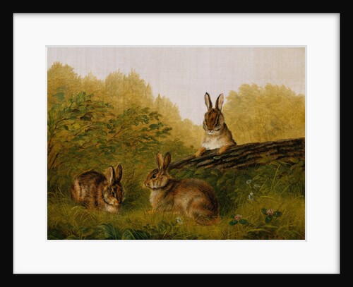 Rabbits on a Log, 1897 by Arthur Fitzwilliam Tait