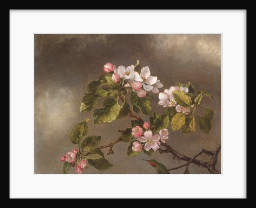 Hummingbird and Apple Blossoms, 1875 by Martin Johnson Heade