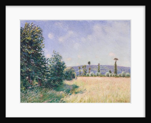 Sahurs Meadows in Morning Sun, 1894 by Alfred Sisley