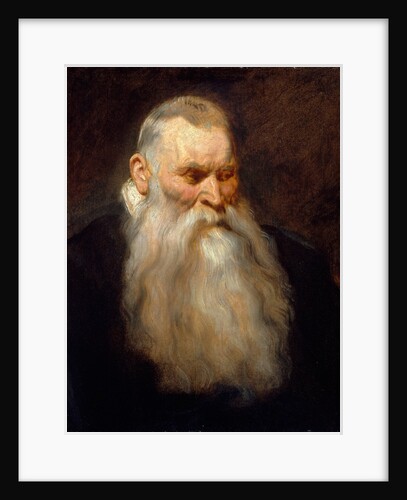 Study Head of an Old Man with a White Beard, ca. 1617-20 by Anthony van Dyck