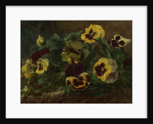 Pansies, 1903 by Henri Fantin-Latour