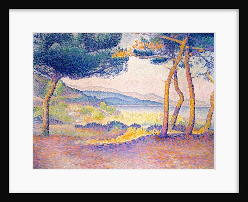 Pines Along the Shore, 1896 by Henri-Edmond Cross