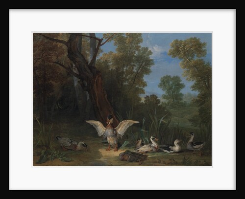 Ducks Resting in Sunshine, 1753 by Jean-Baptiste Oudry