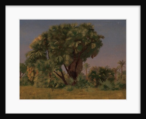 Study of Palm Trees, probably 1868 by Jean-Leon Gerome
