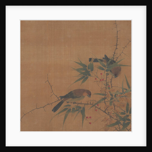 Bamboo Branch with Berries and Birds, 17th century by Unknown