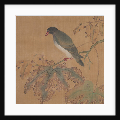 Bird on Branch by Unknown