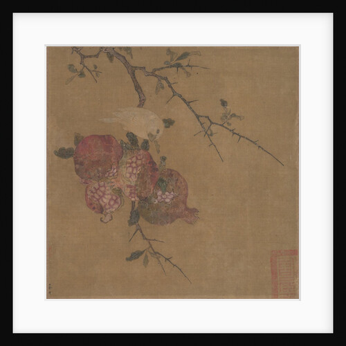 Pomegranates by Unknown