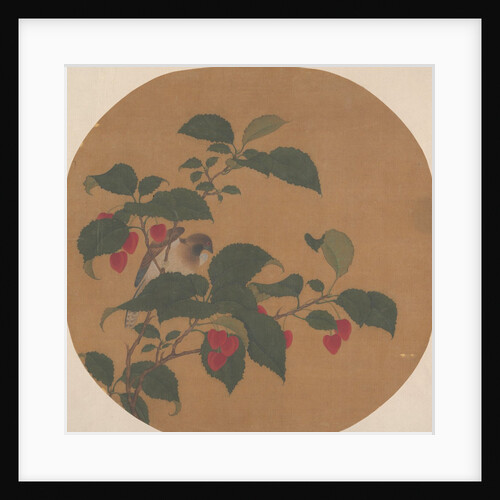 Branch of Tree by Unknown