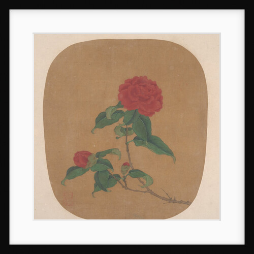 Camellia Flowers by Unknown