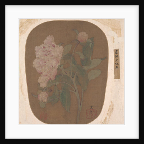 Peony Flower and Leaves by Unknown