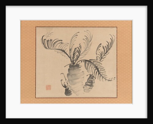 Cycad, mid-18th century by Ike no Taiga