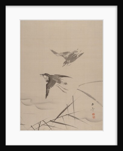 Small Birds and Bamboo, 1887-92 by Gyokusho Kawabata