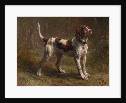 A Limier Briquet Hound, ca. 1856 by Rosa Bonheur