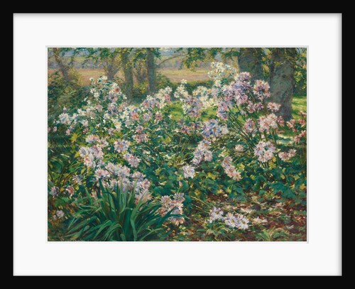 Windflowers, 1912 by Gaines Ruger Donoho