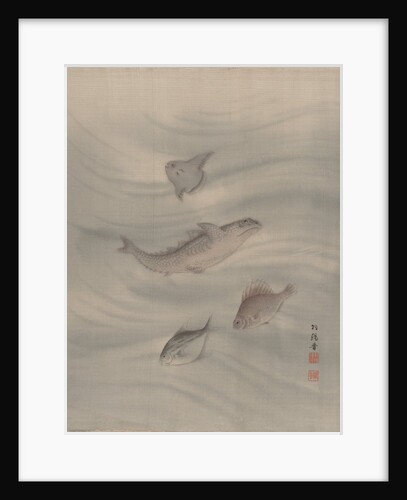 Fishes, ca. 1890-92 by Seki Shuko