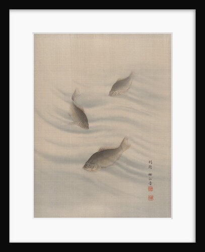 Fishes Swimming, ca. 1890-92 by Seki Shuko