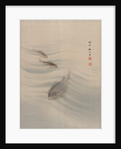 Fishes, ca. 1890-92 by Seki Shuko