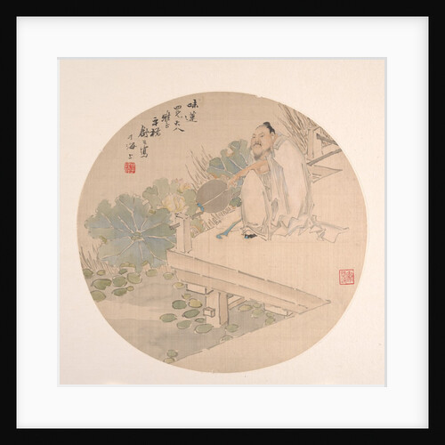 Admiring Lotus by Shu Hao