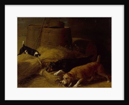 Rats amongst the Barley Sheaves, 1851 by Thomas Hewes Hinckley