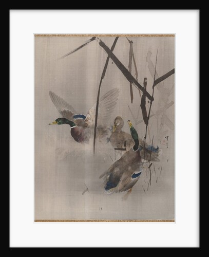 Ducks in the Rushes, ca. 1887 by Watanabe Seitei