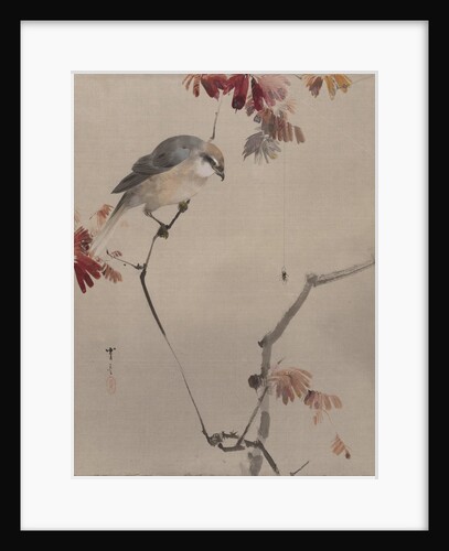 Bird on Branch Watching Spider, ca. 1887 by Watanabe Seitei