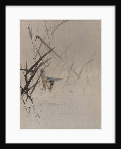 Bird Catching Fish Among Reeds, ca. 1887 by Watanabe Seitei
