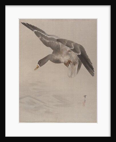 Duck, ca. 1887 by Watanabe Seitei