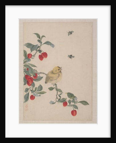 Birds, Insects and Flowers, 19th century by Yi Zhai