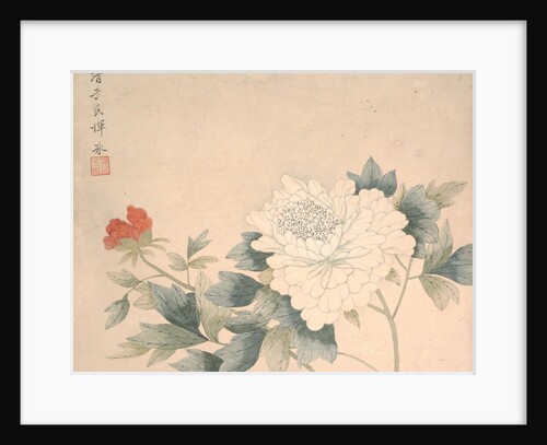 Flower Study, 17th century by Yun Bing