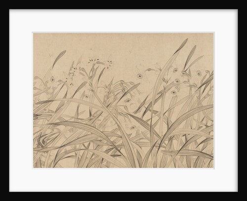 Narcissus, mid-13th century by Zhao Mengjian