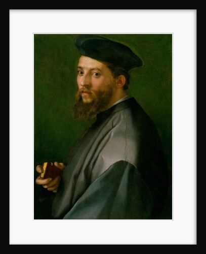 Portrait of a Man, 1528-30 by Andrea del Sarto