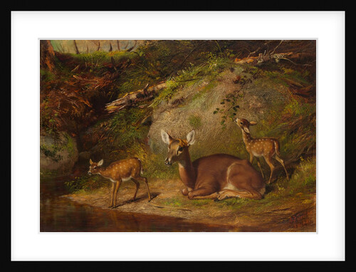 Doe and Two Fawns, 1882 by Arthur Fitzwilliam Tait