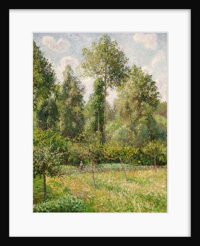 Poplars, Éragny, 1895 by Camille Pissarro