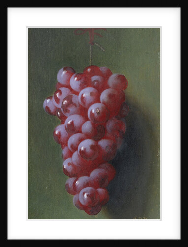 Still Life with Grapes by Carducius Plantagenet Ream