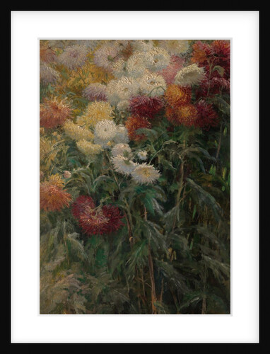 Chrysanthemums in the Garden at Petit-Gennevilliers, 1893 by Gustave Caillebotte